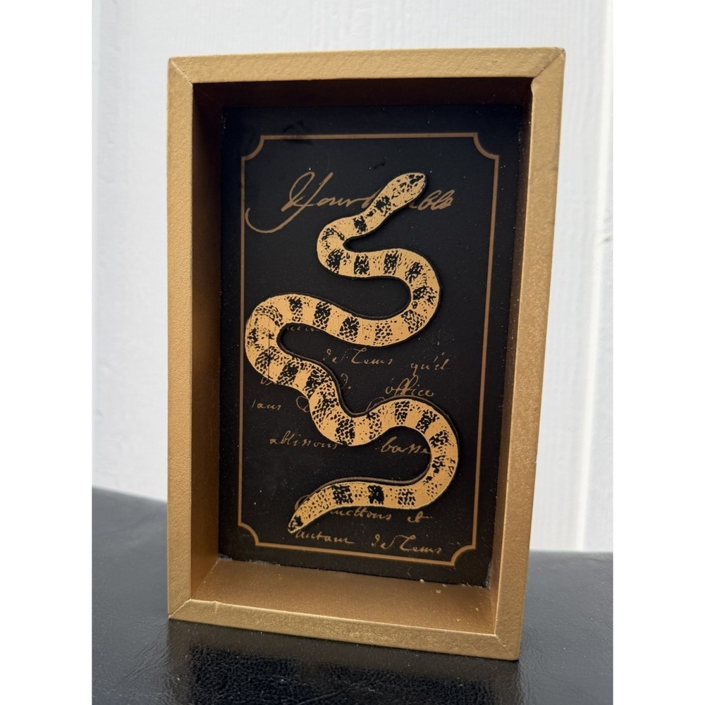 Ashland Halloween Gold Snake Shadow Box Wall Decor Gothic Witchy Harry Potter